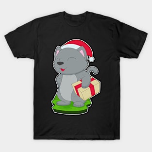 Cat Christmas Package T-Shirt